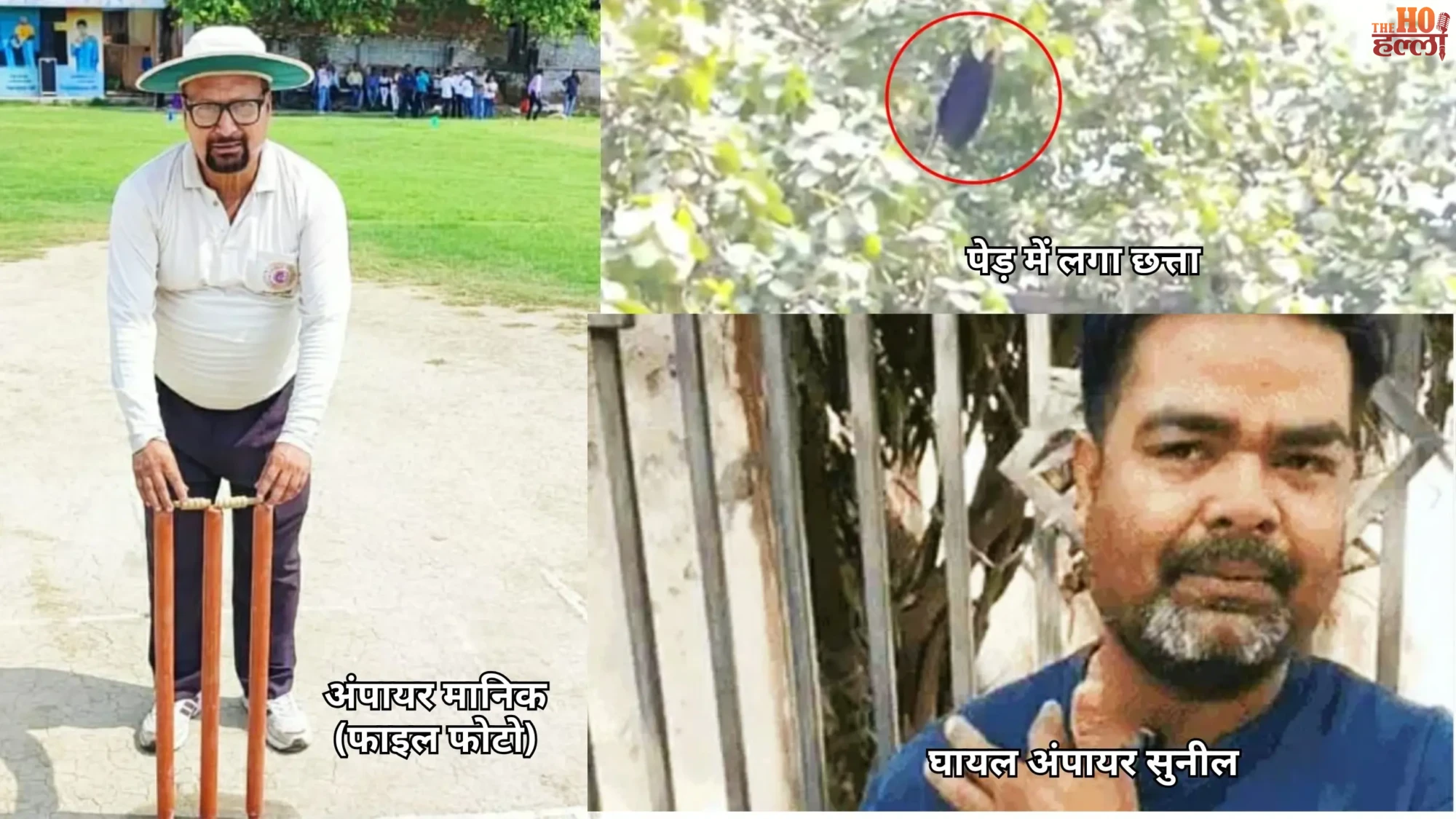 Tragedy on Field Umpire Dies and Players Injured