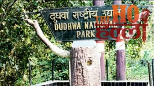 WhatsApp Image 2026-02-10 at 4.07.05 PM