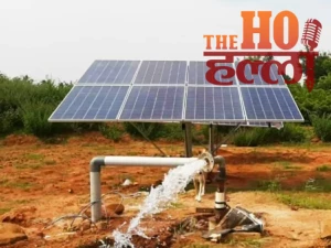 WhatsApp Image 2026-02-11 at 3.35.28 PM (1)