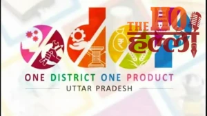 WhatsApp Image 2026-02-12 at 6.12.37 PM