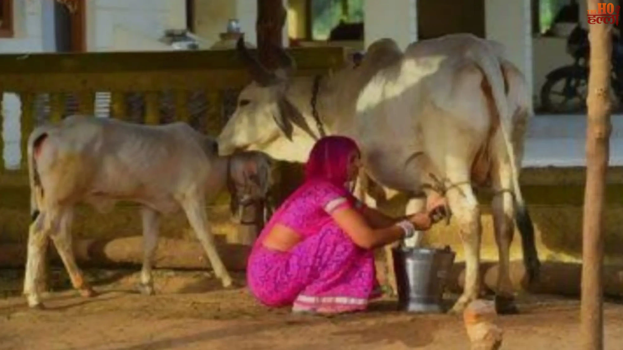 White Revolution in UP Women Driving Change