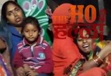 A Ferocious Pack Attacks An Innocent Child Tragedy