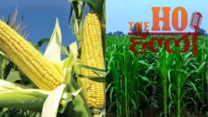 Agriculture in UP 9 Years of Innovation Excellence (1)