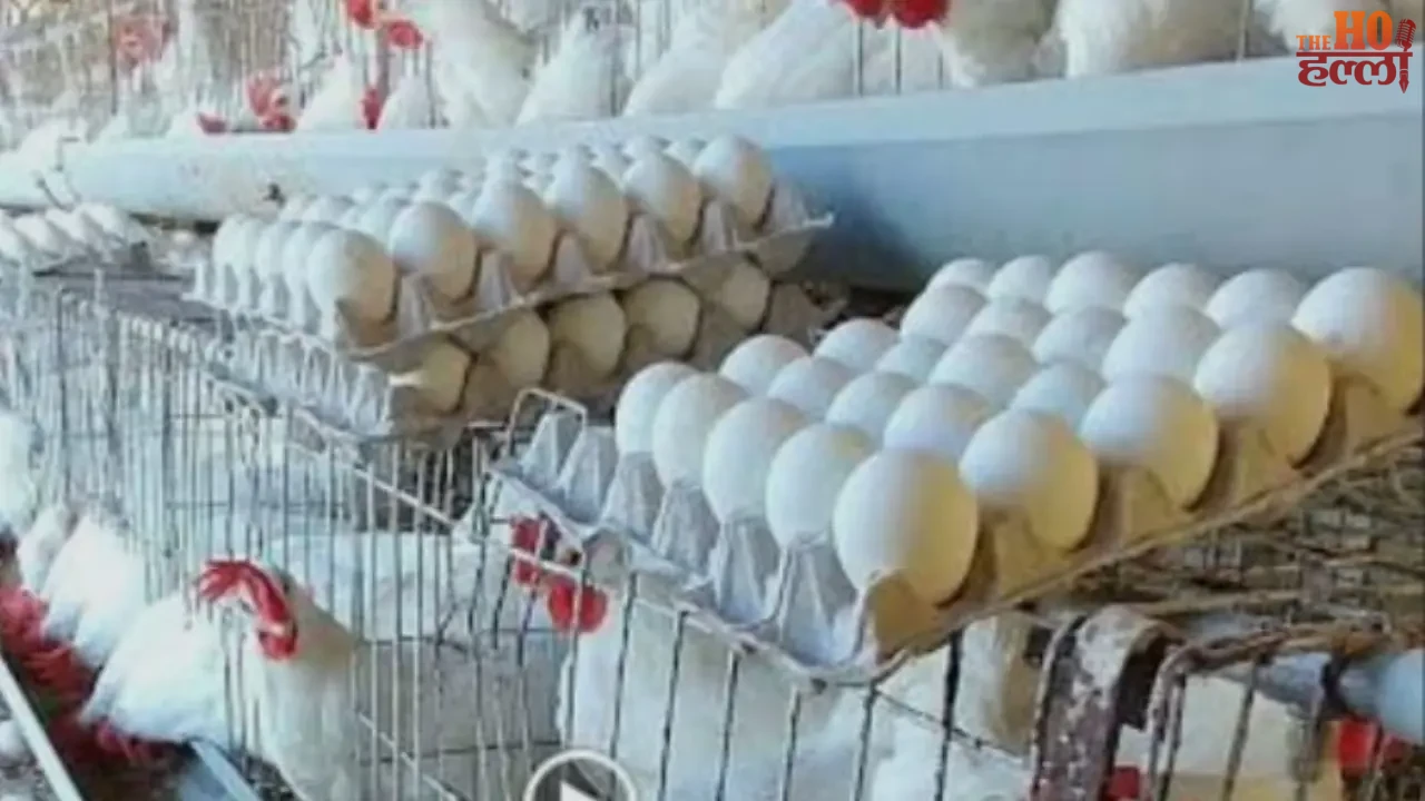 Be it Sunday or Monday... now eat eggs and stay healthy