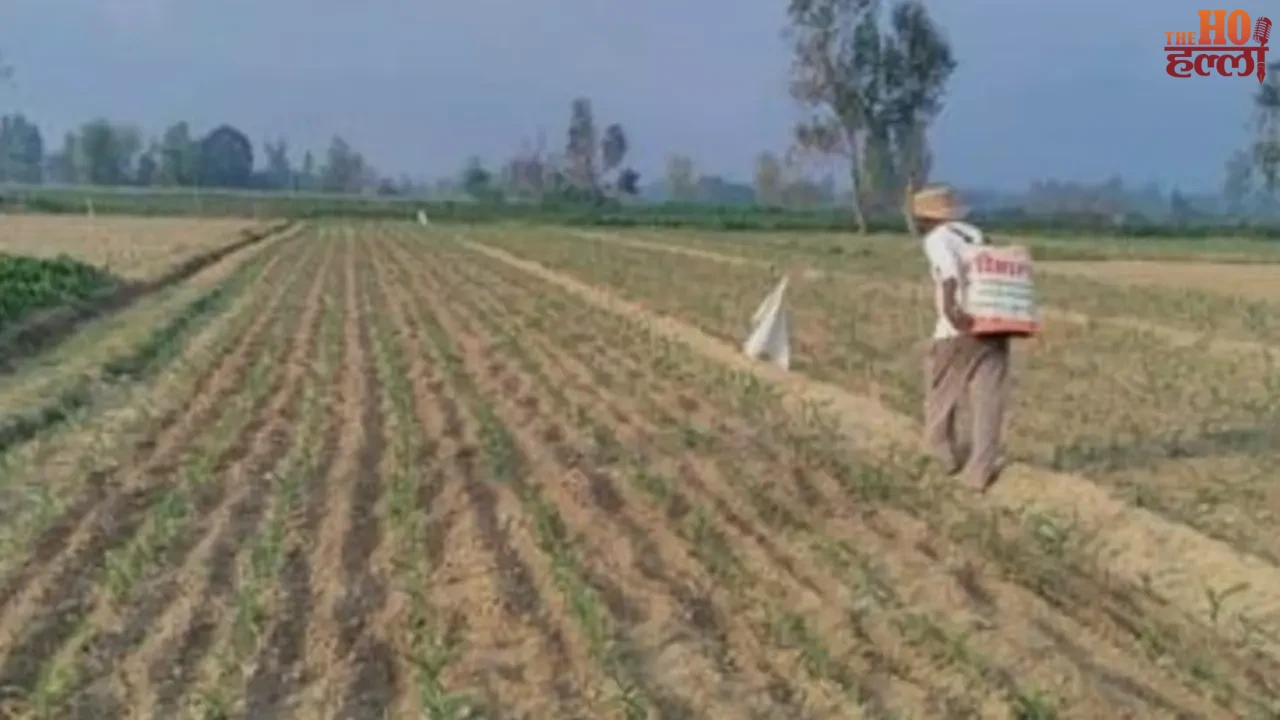 Cow protection has transformed agriculture through tradition