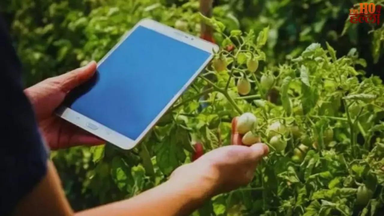 Digital Crop Survey and Farmer Registry in Uttar Pradesh