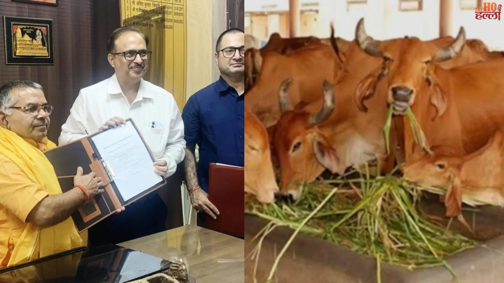 German Tech to Revamp UP Gaushalas for Efficiency