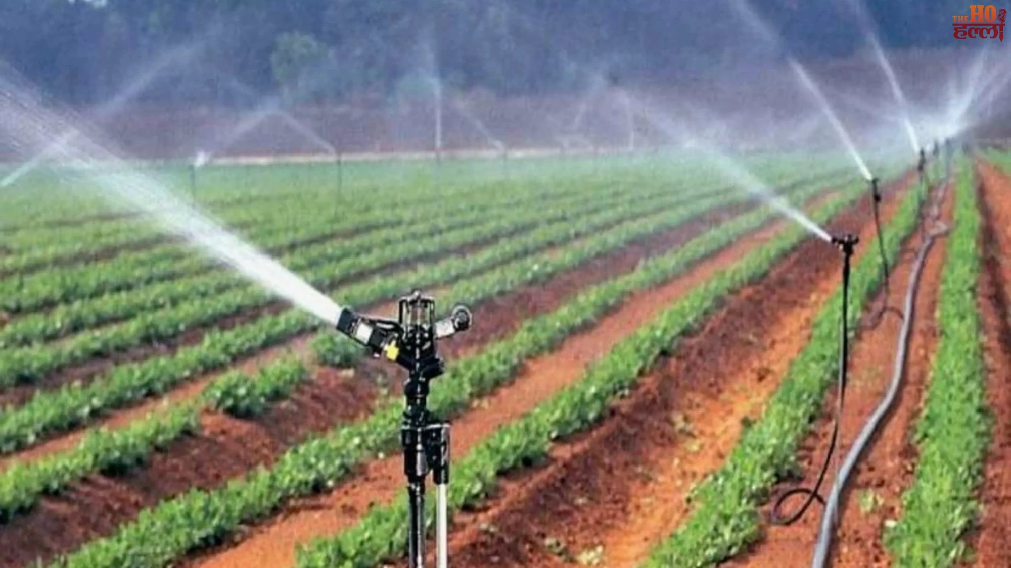 Irrigation Not a Single Drop of Water Wasted