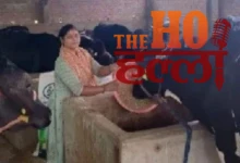 Lakhpati Didi Success Vinita's Journey to Wealth