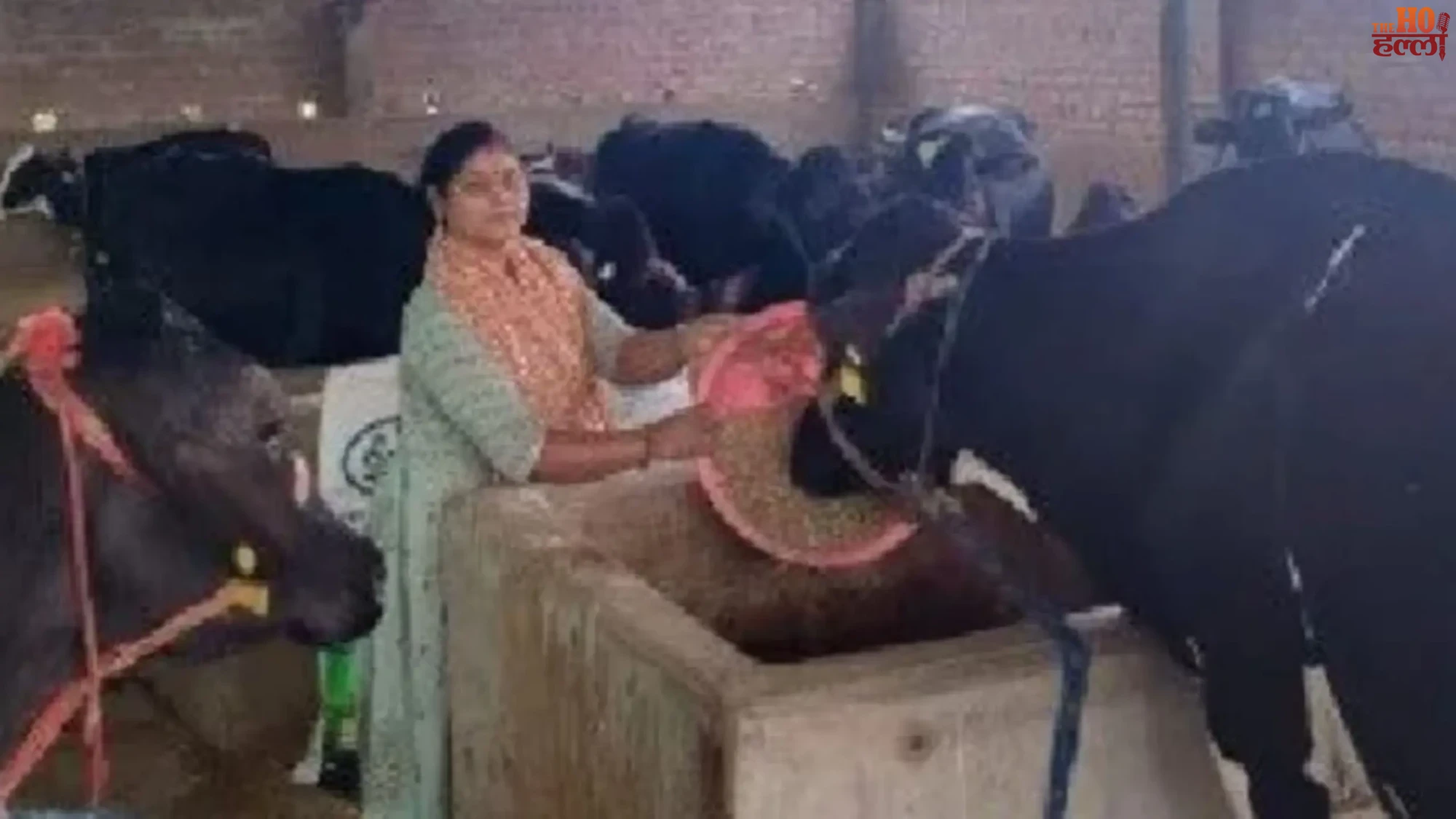 Lakhpati Didi Success Vinita's Journey to Wealth