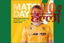 NZ vs SA Last T20 Today Match Insight and Preview