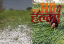 Relief to Farmers Suffering Losses Due to Hailstorm