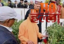 Technology Transforms Farming for Modern Agriculture