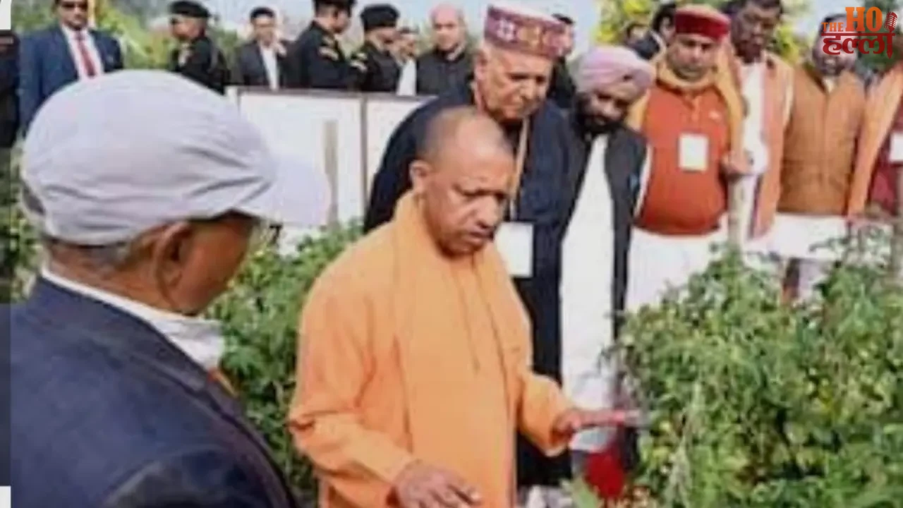 Technology Transforms Farming for Modern Agriculture