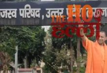 The Impact of Yogi's Strict Supervision on Revenue Cases