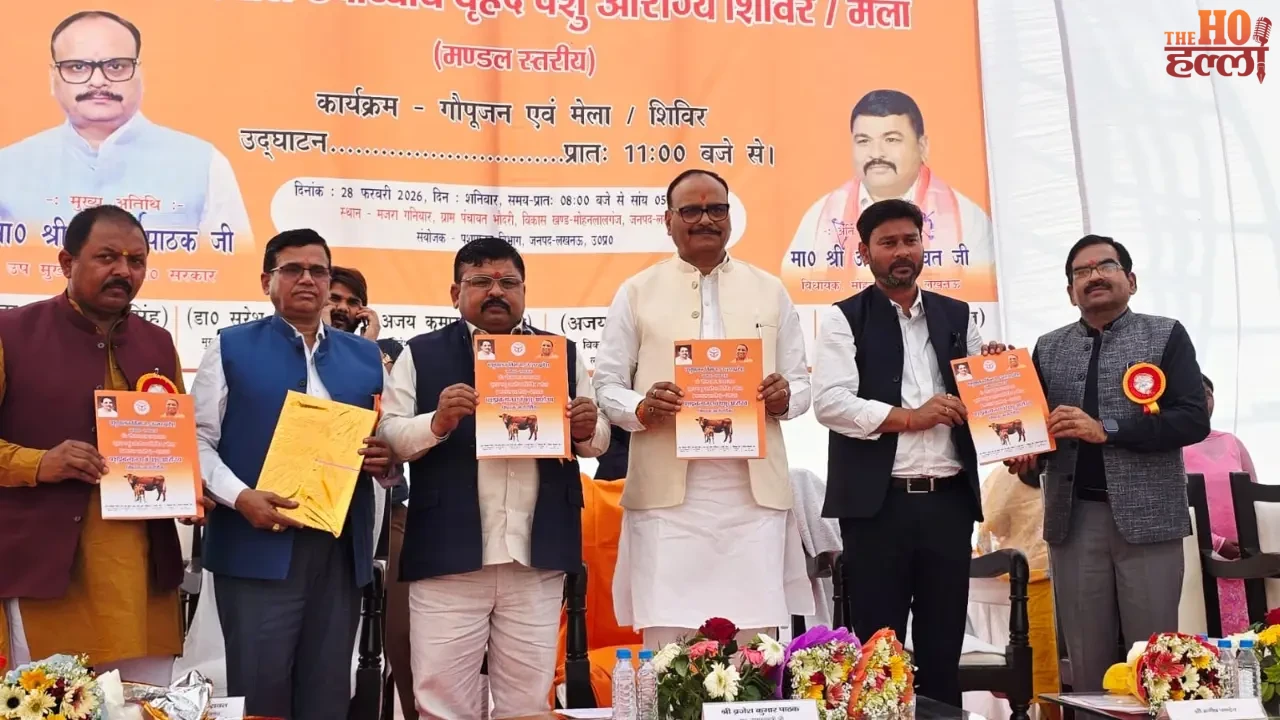 Tips for Keeping Animals Healthy with Fair Insights