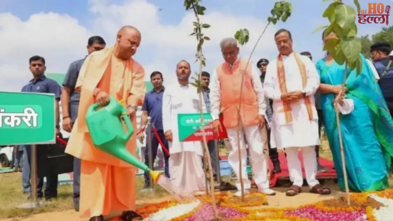 UP Is Number One in Greenery with 35 Crore Saplings