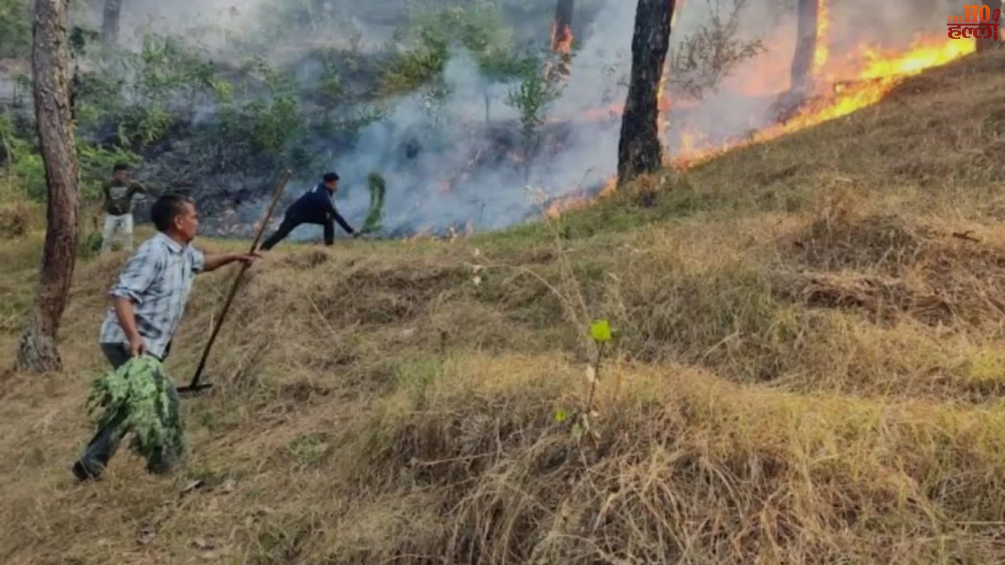 UP Ready to Combat Forest Fires Effectively Now