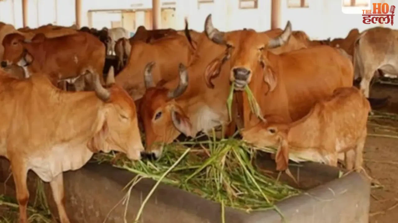 UP to Become a Technology-Based Cow Protection Model