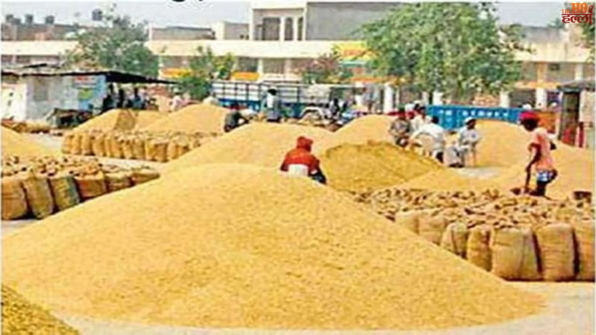 UP Wheat Procurement 2026 Key Details Announced