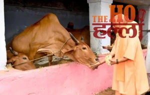 WhatsApp Image 2026-03-12 at 1.20.39 PM