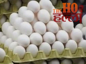 WhatsApp Image 2026-03-18 at 2.12.39 PM