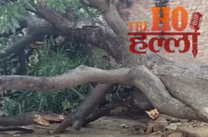 WhatsApp Image 2026-03-28 at 12.10.54 PM (1)