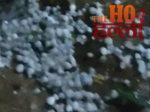 WhatsApp Image 2026-03-28 at 12.10.54 PM