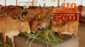 WhatsApp Image 2026-03-31 at 12.42.20 PM