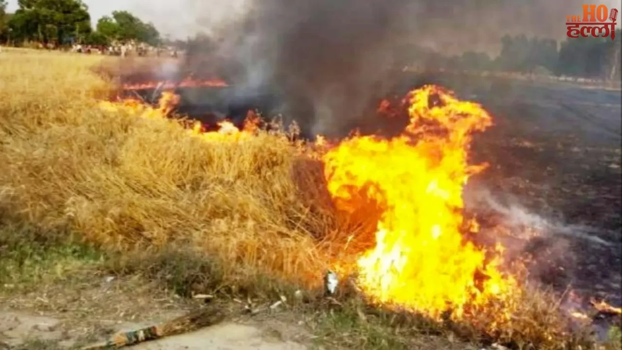 A Fire Broke Out in the Straw Community Response