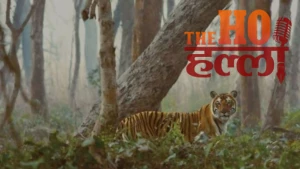 Dudhwa Goes Hi-Tech Smart Changes for Tourism (1)