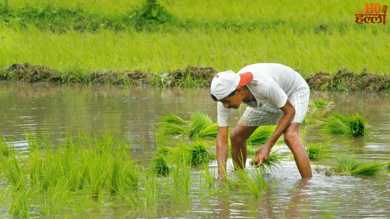 Farmer registration will be done for all farmers involved