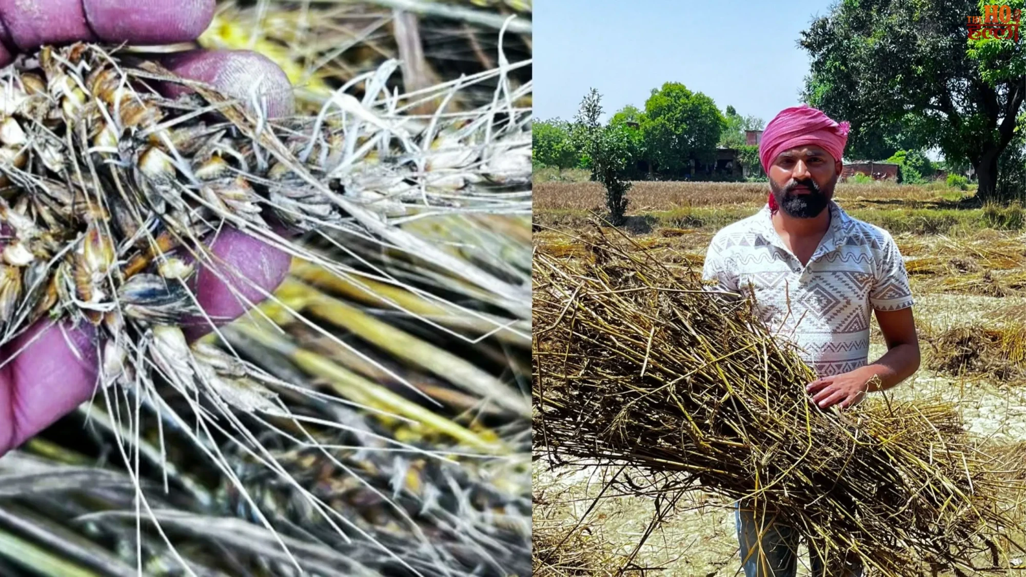 Farmers Distrust Crop Damage Survey Findings