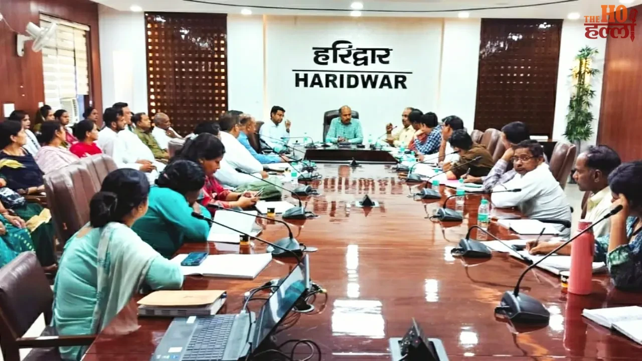 Haridwar Bets Heavily on Basmati Rice Farming Strategies