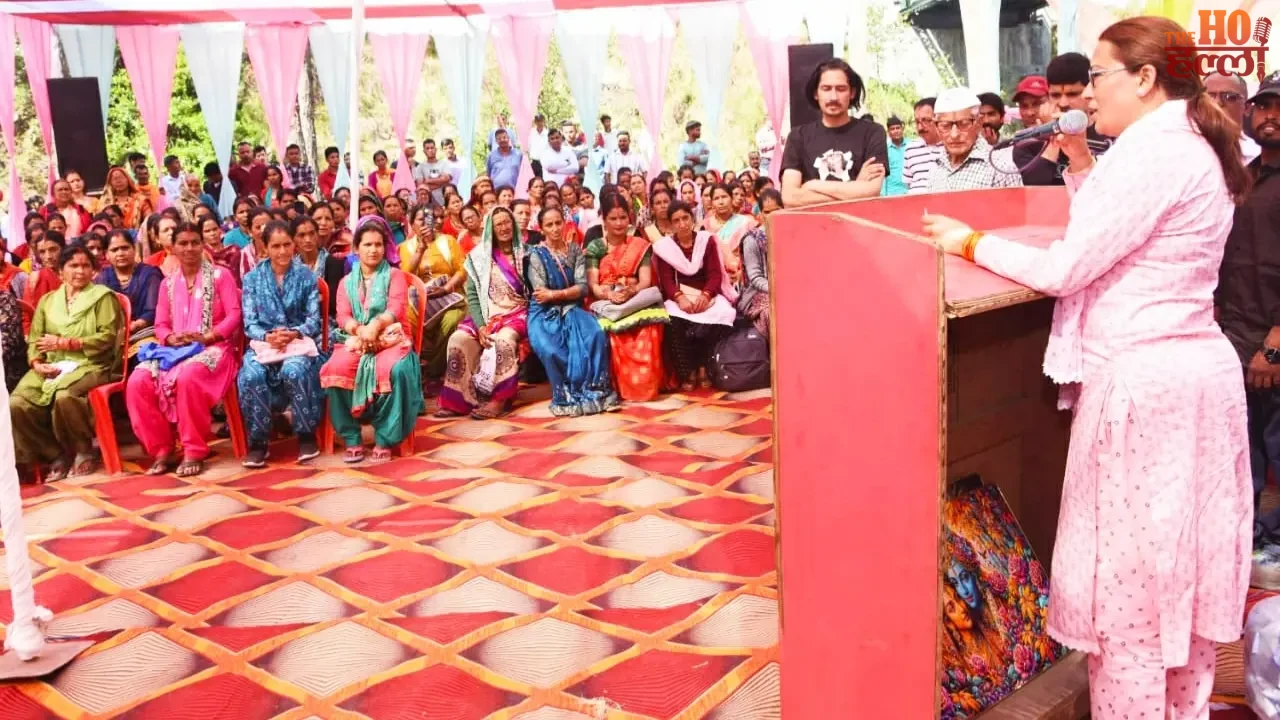 Sawdust Will Change the Picture New Job Opportunities