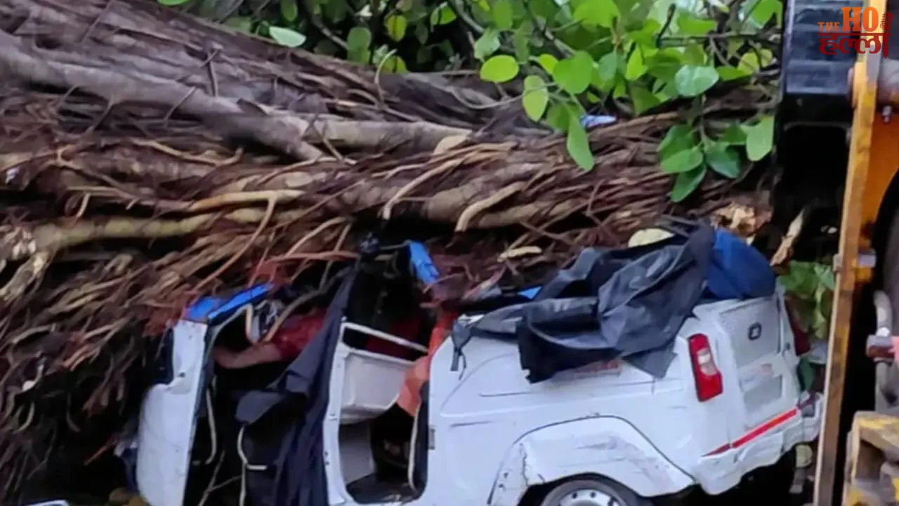 Storm and rain wreak havoc in UP...six dead Kanpur worst hit