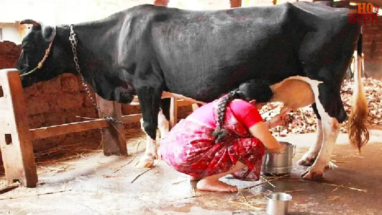 The Mahila Shakti Yojana Empowers Women in Villages