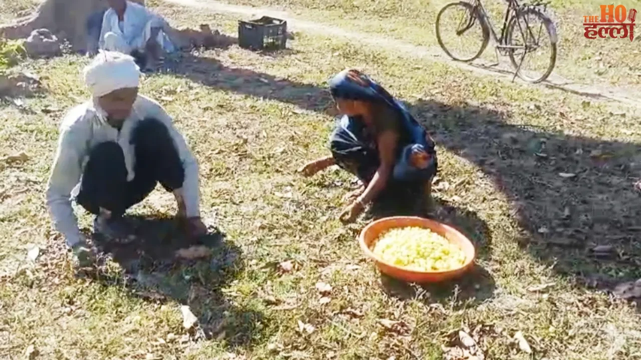 These Special 'Flowers' Help Families Survive Year-Round