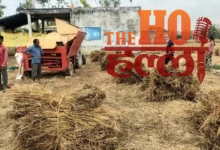 Weather Changes in Barabanki Protecting Wheat Yield