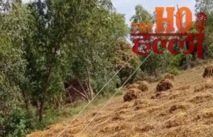 WhatsApp Image 2026-04-01 at 5.19.31 PM