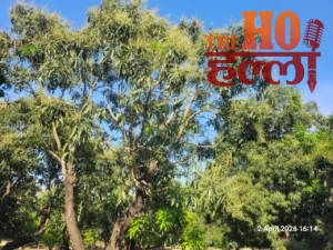 WhatsApp Image 2026-04-02 at 5.35.48 PM