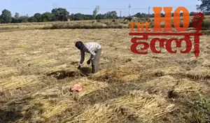 WhatsApp Image 2026-04-05 at 10.38.59 AM (1)