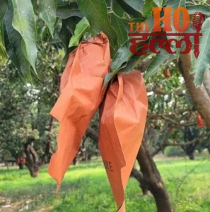 WhatsApp Image 2026-04-05 at 2.23.32 PM