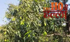 WhatsApp Image 2026-04-23 at 11.52.39 AM