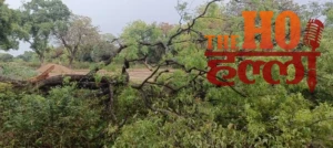 WhatsApp Image 2026-04-29 at 4.56.13 PM