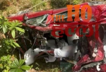 Car Falls Into Ditch Family Journey Ends in Tragedy