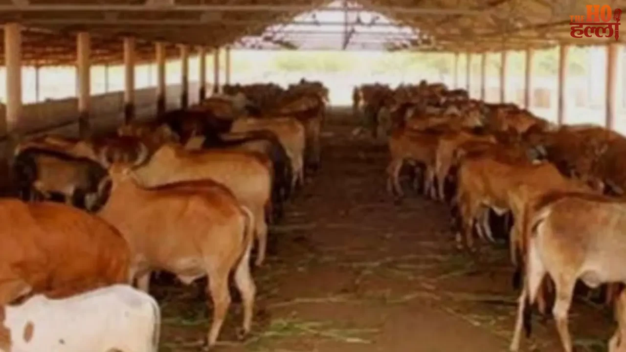 Dairies Will Open in Every Village of Uttar Pradesh