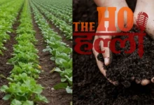 Gene Revolution via Cow Dung Transforming Agriculture