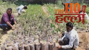 Green Mahakumbh UP's Ambitious Planting Mission (1)