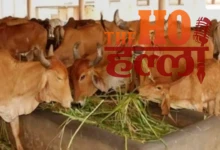 Lalitpur Tops the Straw Collection Race Achievements